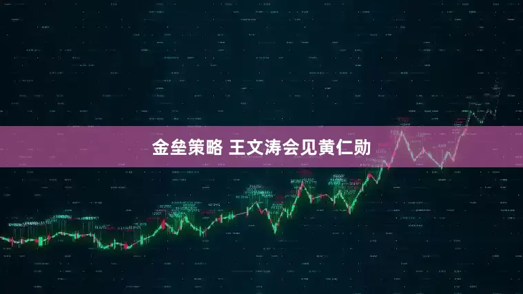 金垒策略 王文涛会见黄仁勋
