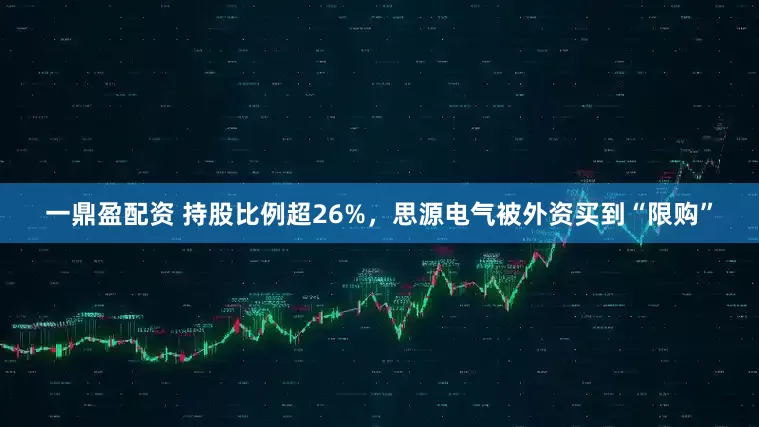 一鼎盈配资 持股比例超26%，思源电气被外资买到“限购”