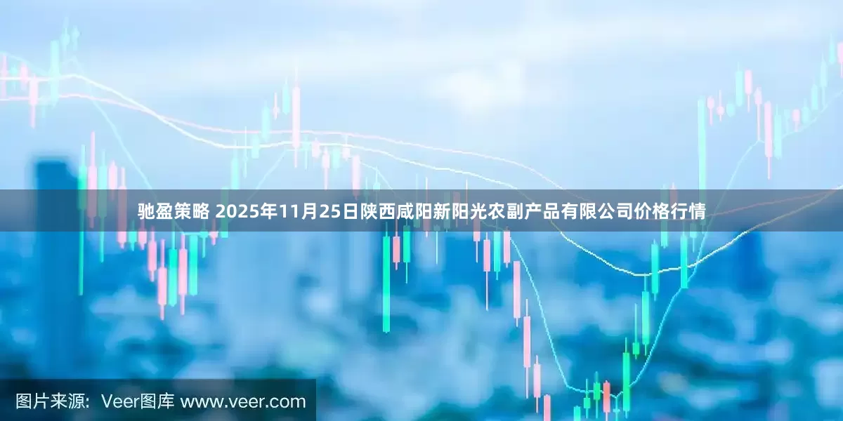 驰盈策略 2025年11月25日陕西咸阳新阳光农副产品有限公司价格行情