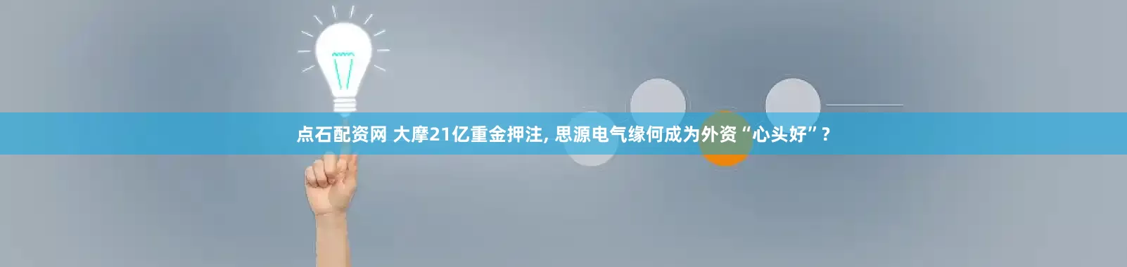 点石配资网 大摩21亿重金押注, 思源电气缘何成为外资“心头好”?