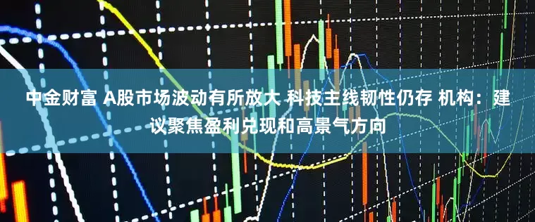 中金财富 A股市场波动有所放大 科技主线韧性仍存 机构：建议聚焦盈利兑现和高景气方向
